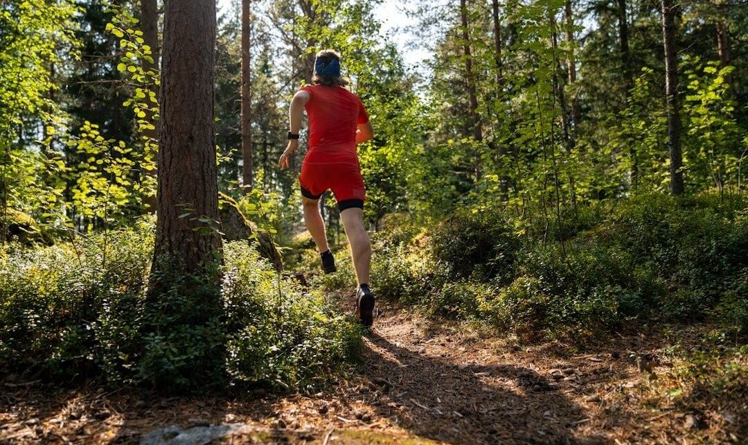 Orienterare springer på en smal skogsstig mellan höga träd
