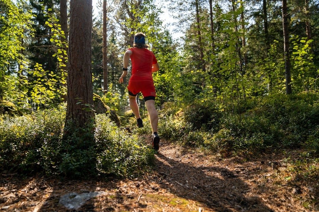 Orienterare springer på en smal skogsstig mellan höga träd